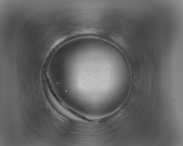 X0000061141404200511241751