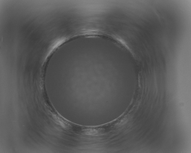 X0000061141405200511241751
