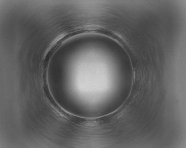 X0000061141410200511241751