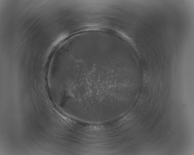 X0000061141411200511241751