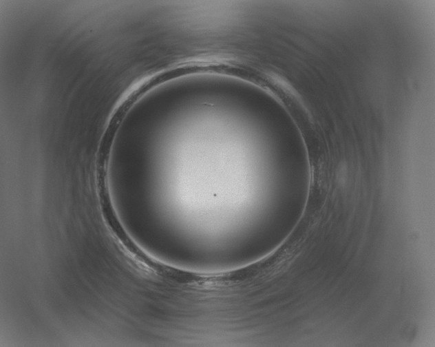 X0000061141412200511241751