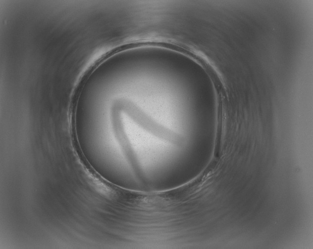 X0000061141416200511241751