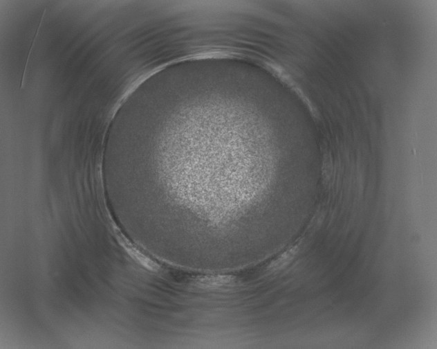 X0000061141417200511241751