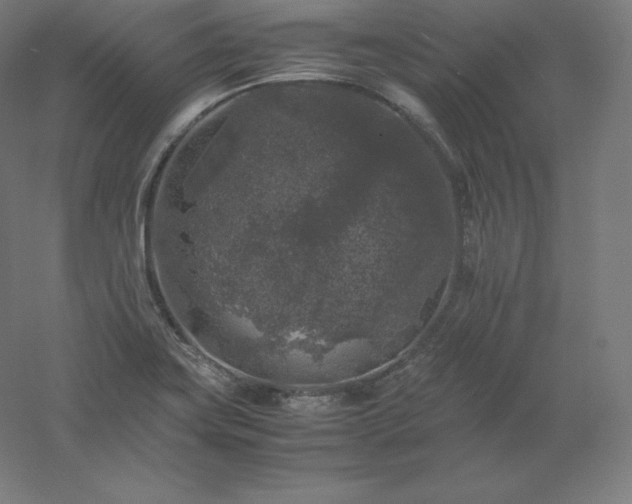 X0000061141419200511241751