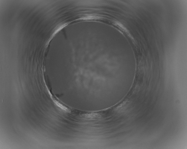 X0000061141425200511241752