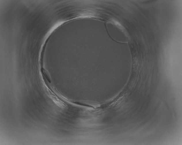 X0000061141427200511241752