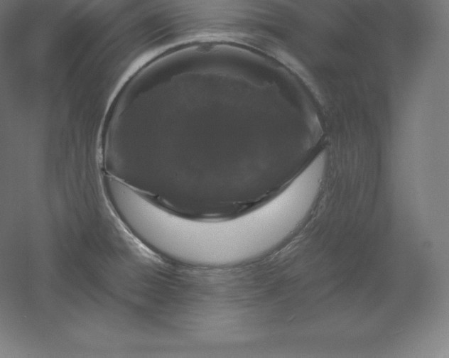 X0000061141428200511241752