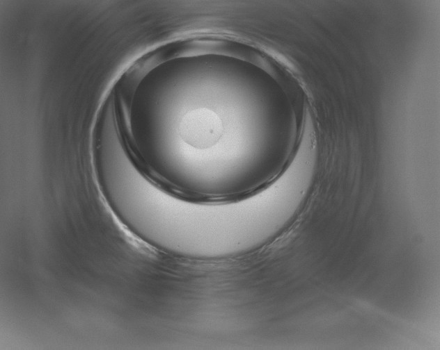 X0000061141430200511241752
