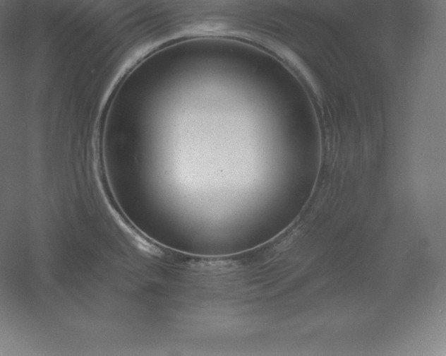 X0000061141432200511241752