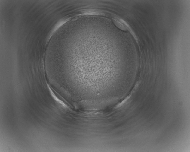 X0000061141433200511241752