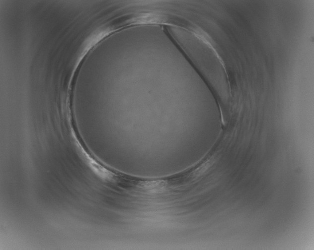 X0000061141434200511241752