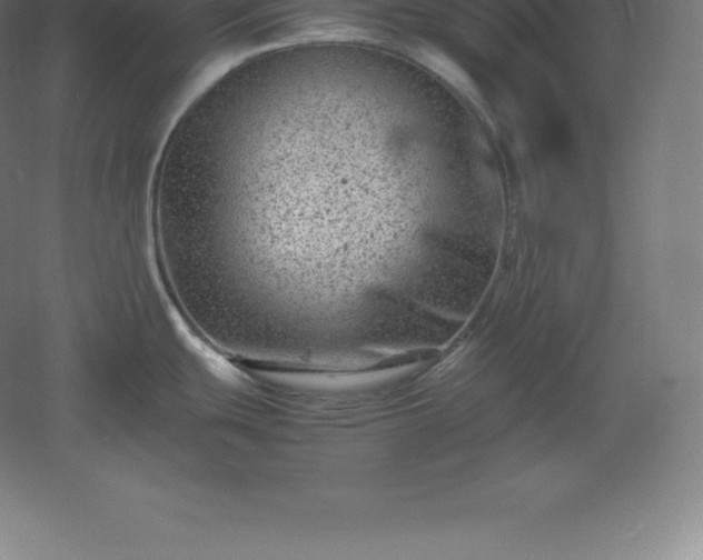 X0000061141439200511241752