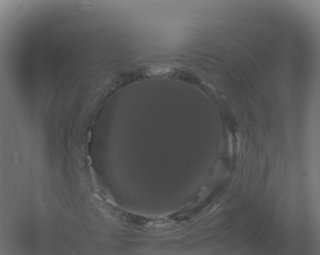 X0000061141441200511241751