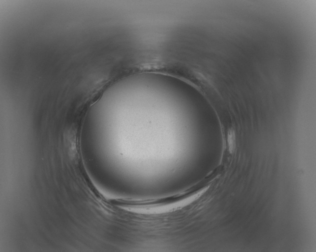 X0000061141444200511241751