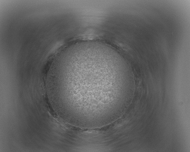 X0000061141446200511241751