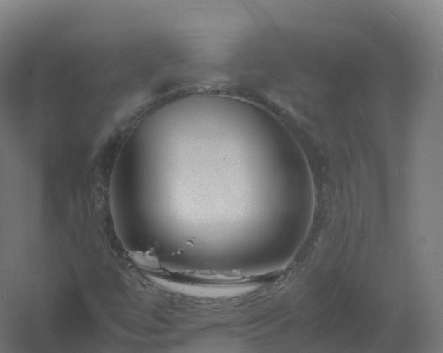 X0000061141447200511241751