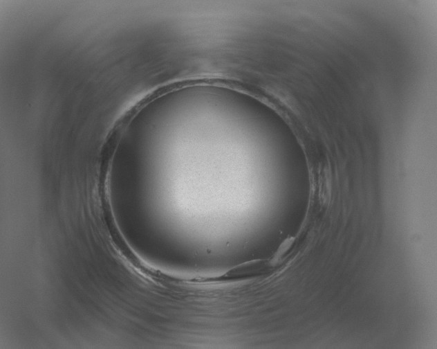X0000061141452200511241751