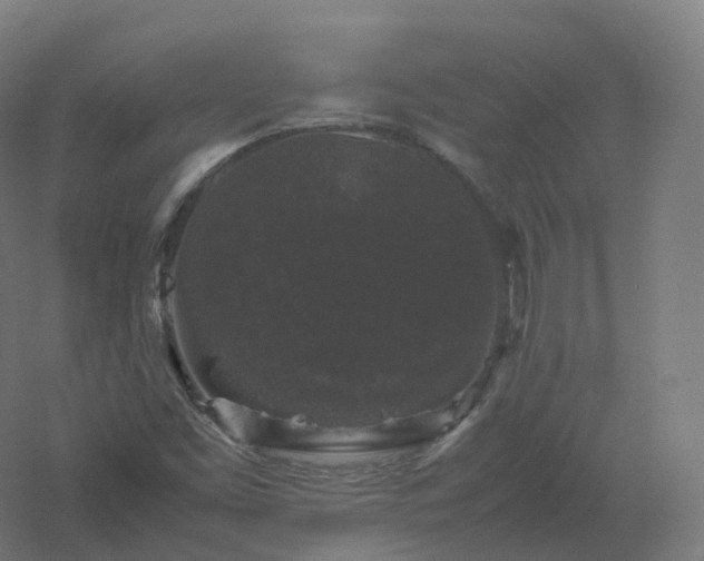 X0000061141453200511241751