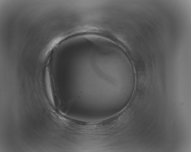 X0000061141455200511241751
