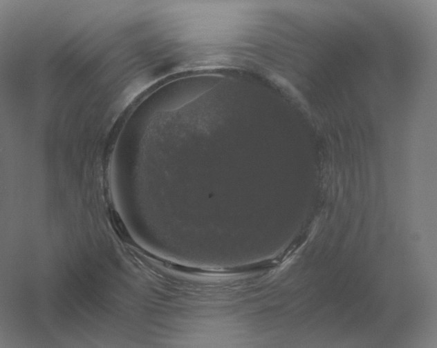 X0000061141457200511241751