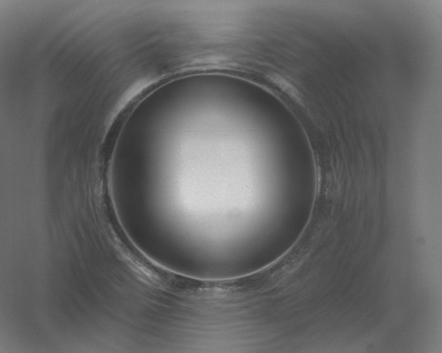 X0000061141458200511241751