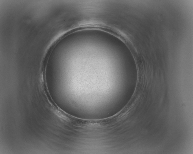 X0000061141462200511241751