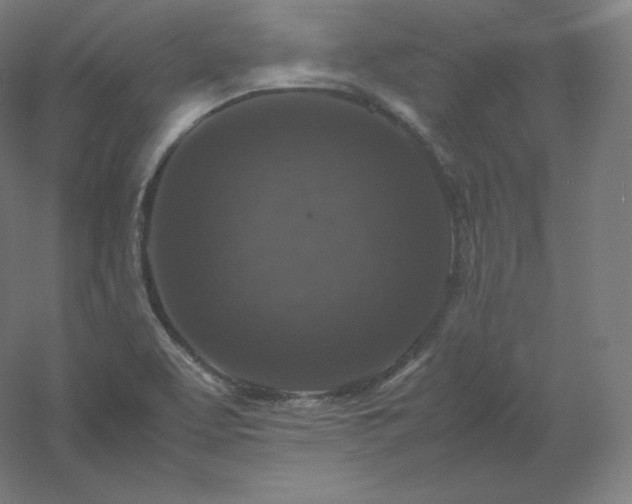 X0000061141463200511241751