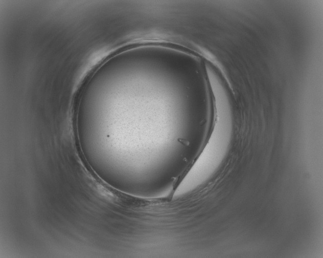 X0000061141464200511241751