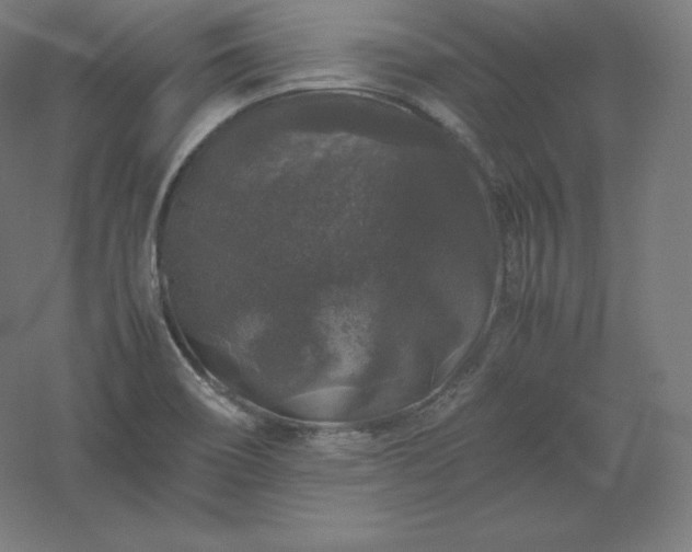 X0000061141466200511241751
