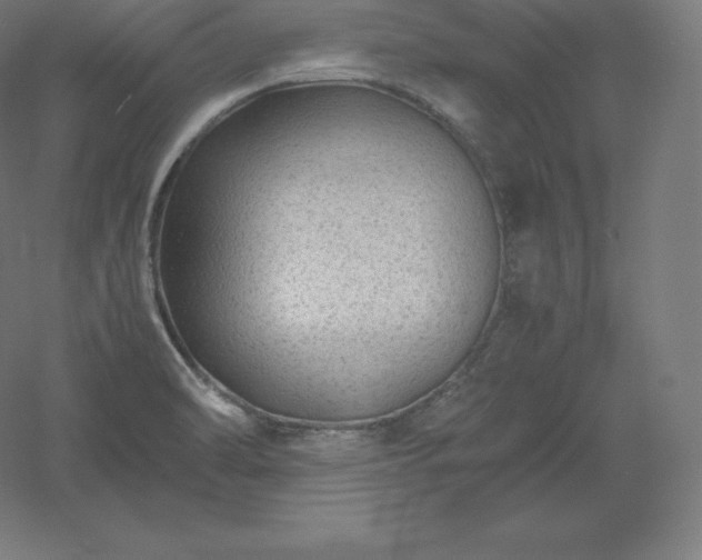 X0000061141470200511241750
