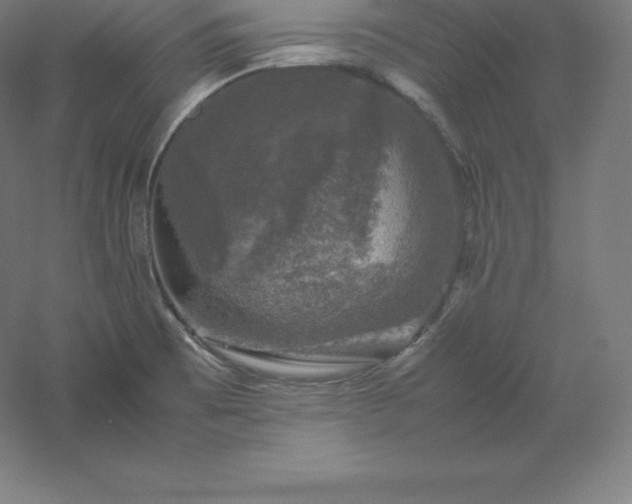 X0000061141473200511241750