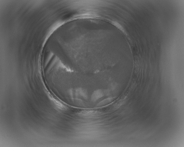 X0000061141474200511241750