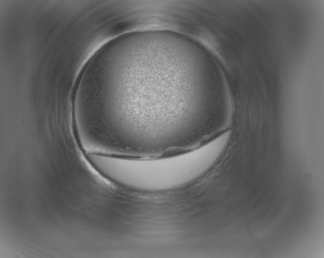 X0000061141476200511241750