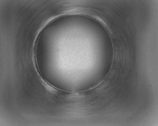 X0000061141478200511241750