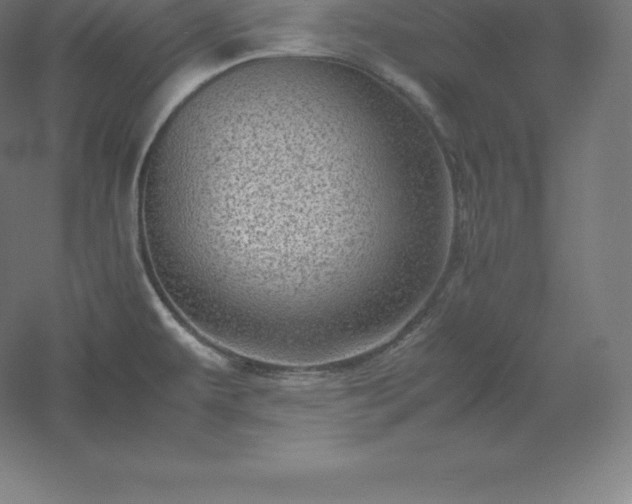 X0000061141479200511241750