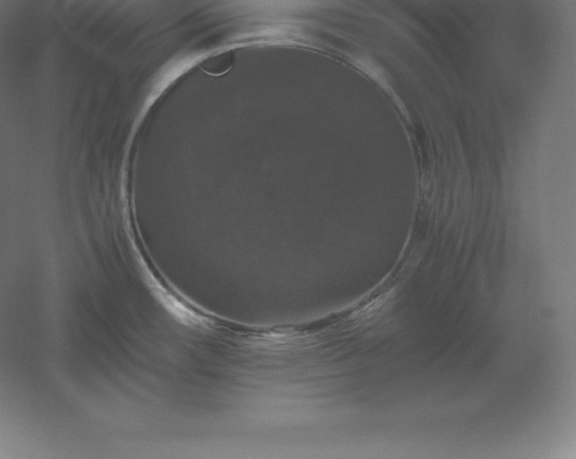 X0000061141482200511241750