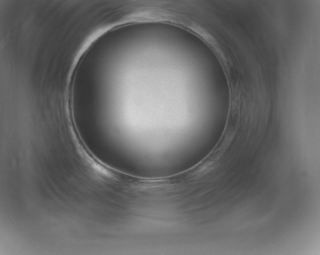 X0000061141486200511241750