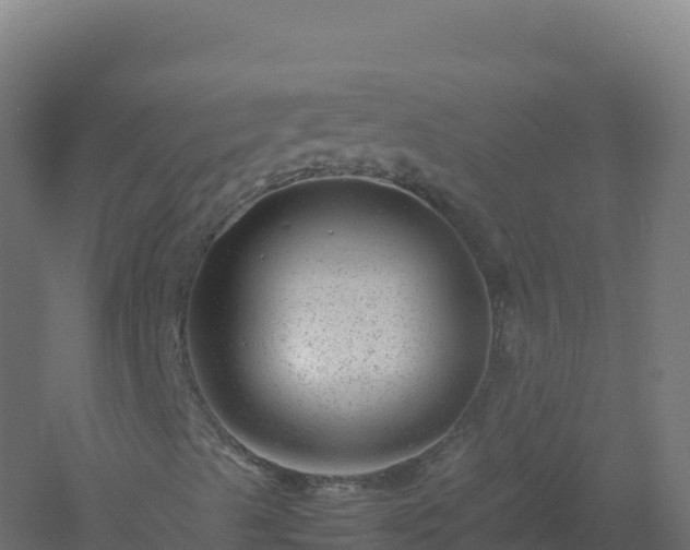 X0000061141489200511241749