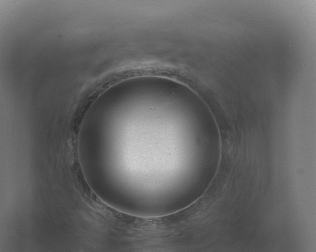 X0000061141493200511241749