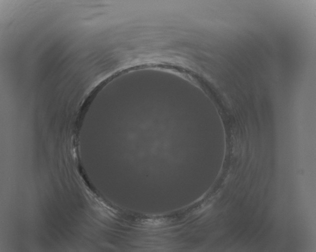 X0000061141497200511241749