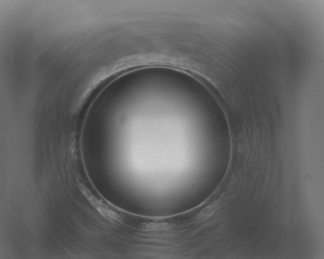 X0000061141499200511241749