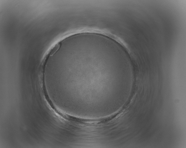 X0000061141504200511241750