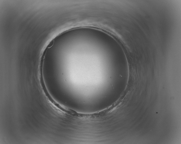 X0000061141512200511241750