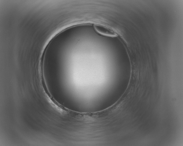 X0000061141516200511241750