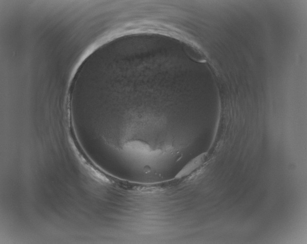 X0000061141522200511241750