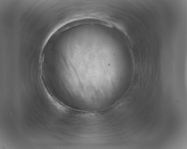 X0000061141524200511241750