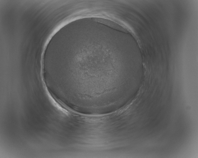 X0000061141528200511241750