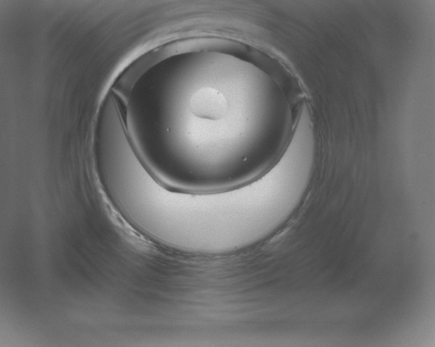 X0000061141530200511241750