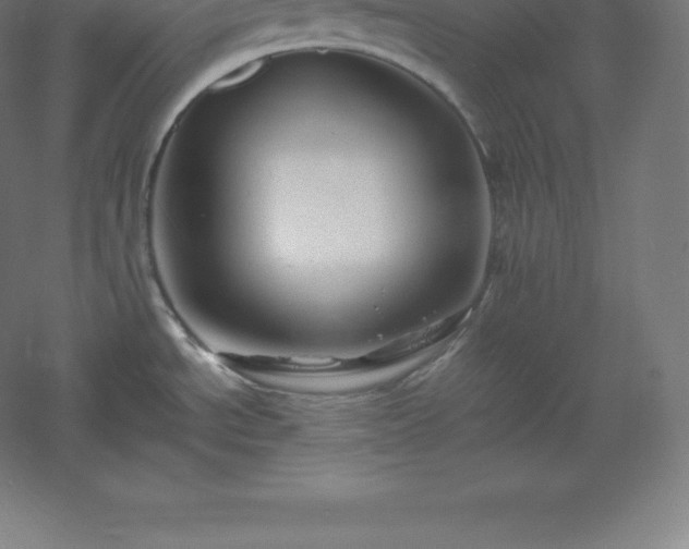 X0000061141534200511241750