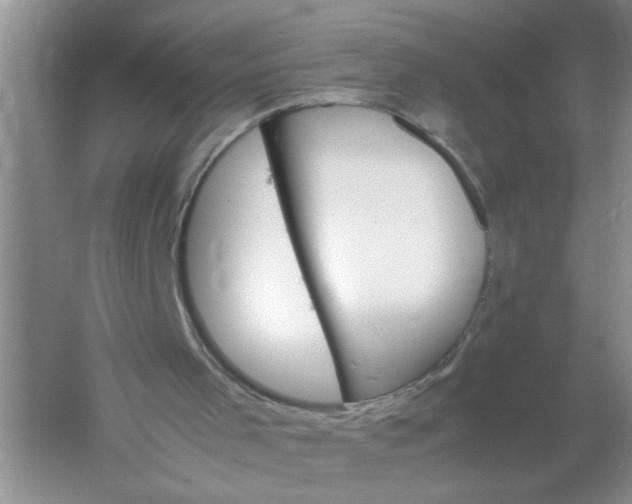 X0000061140001200512022300